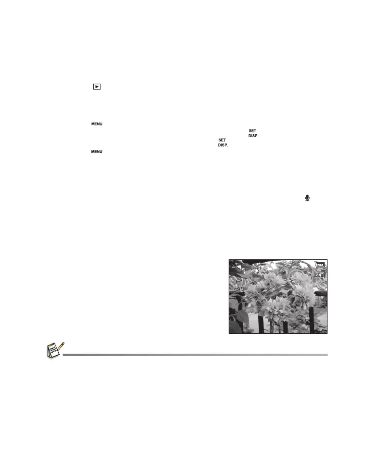 Page #26 background image