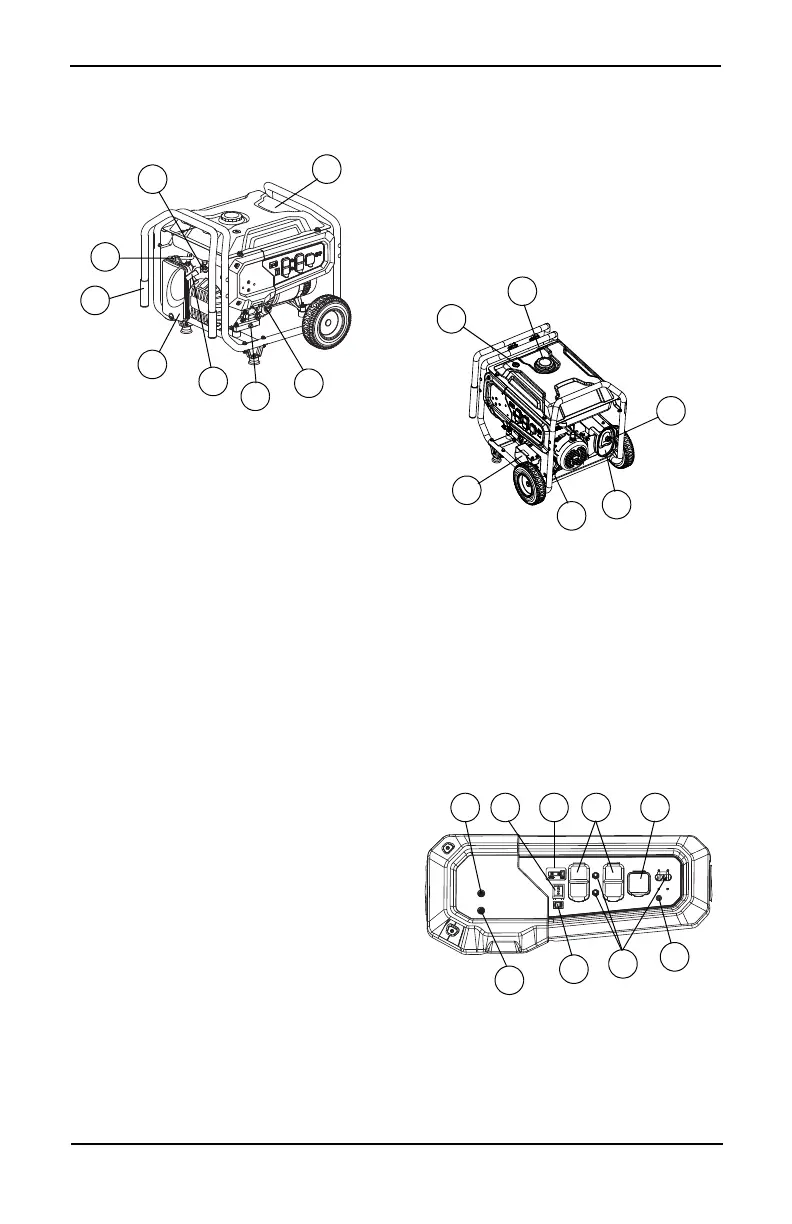 Page #55 background image