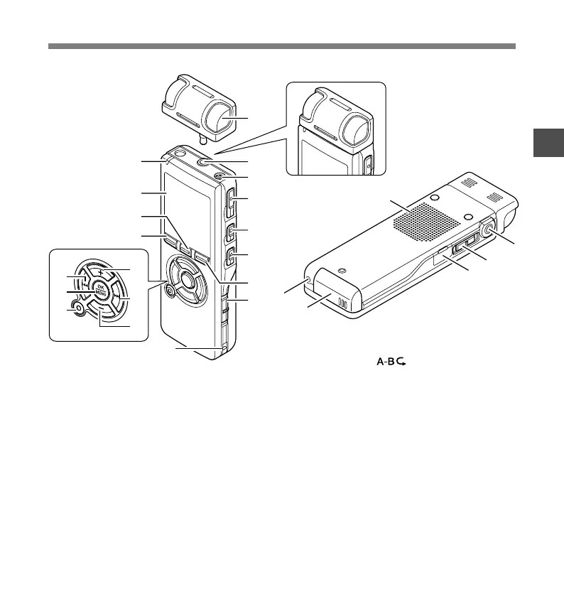 Page #11 background image