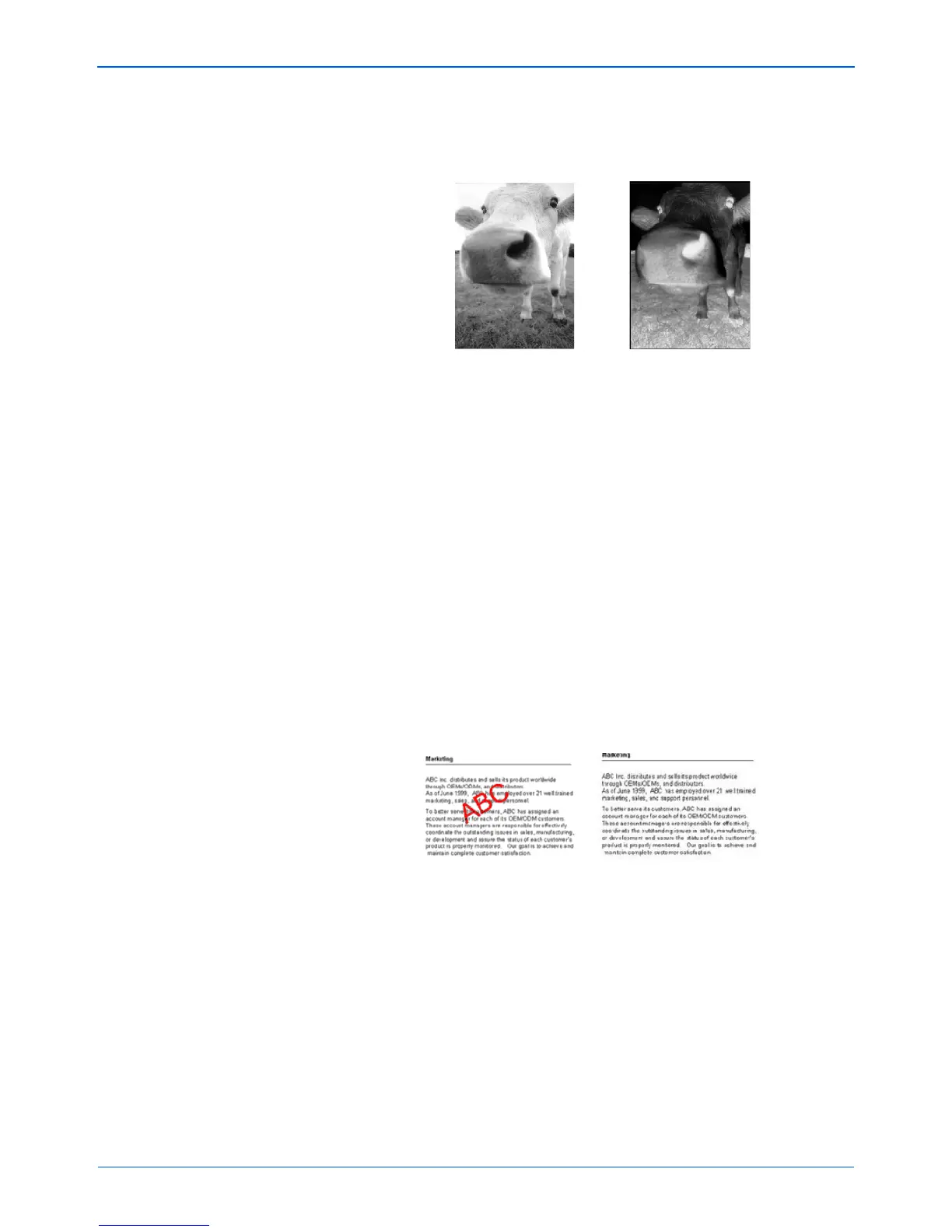 Page #35 background image