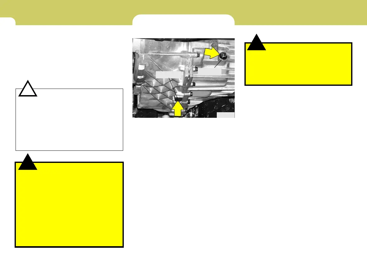 Page #229 background image