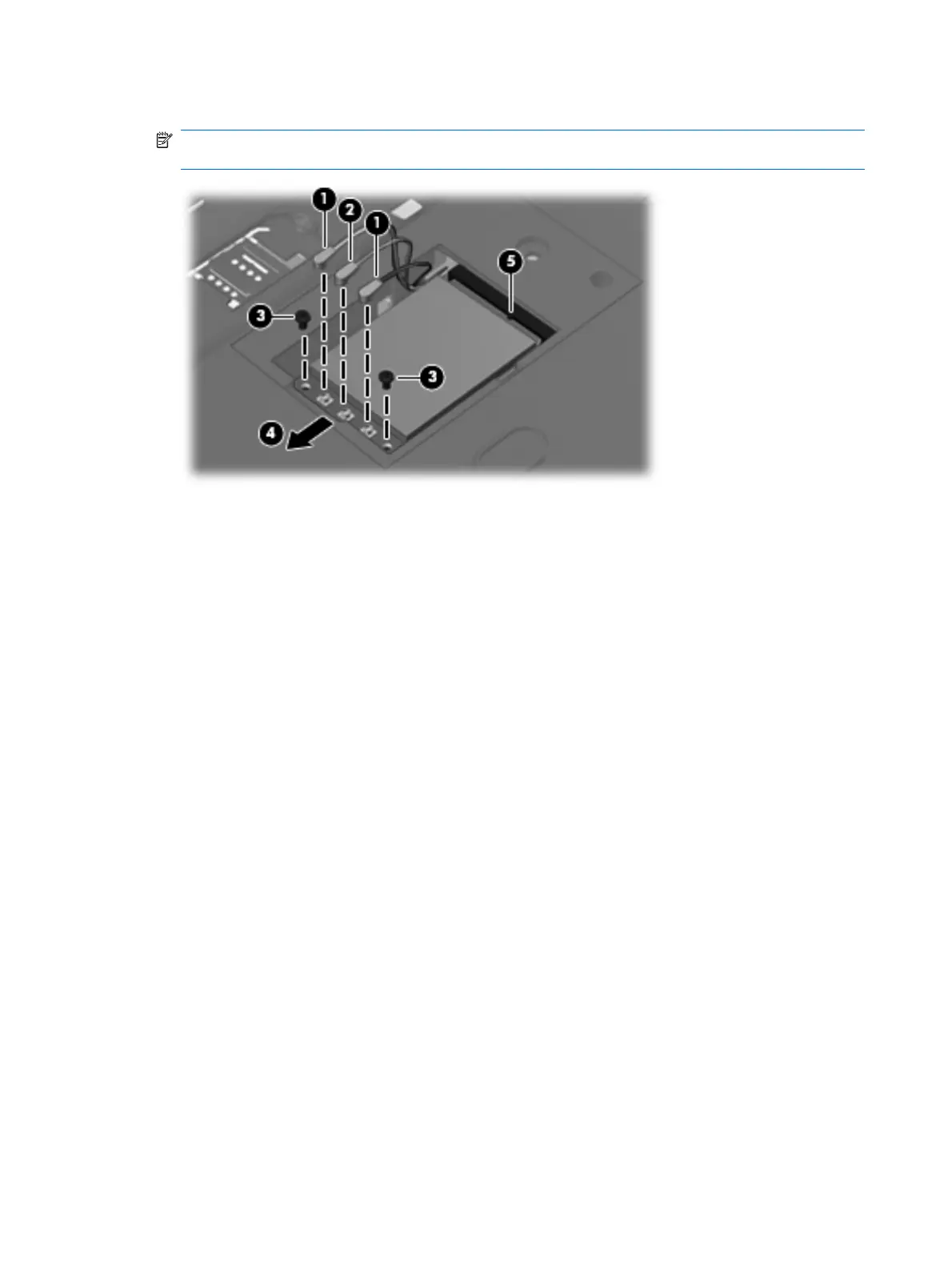Page #66 background image
