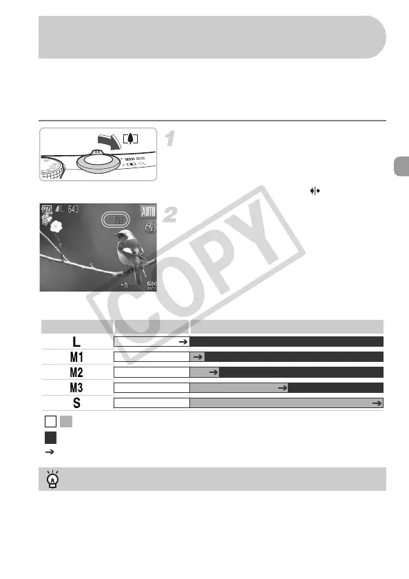 Page #63 background image