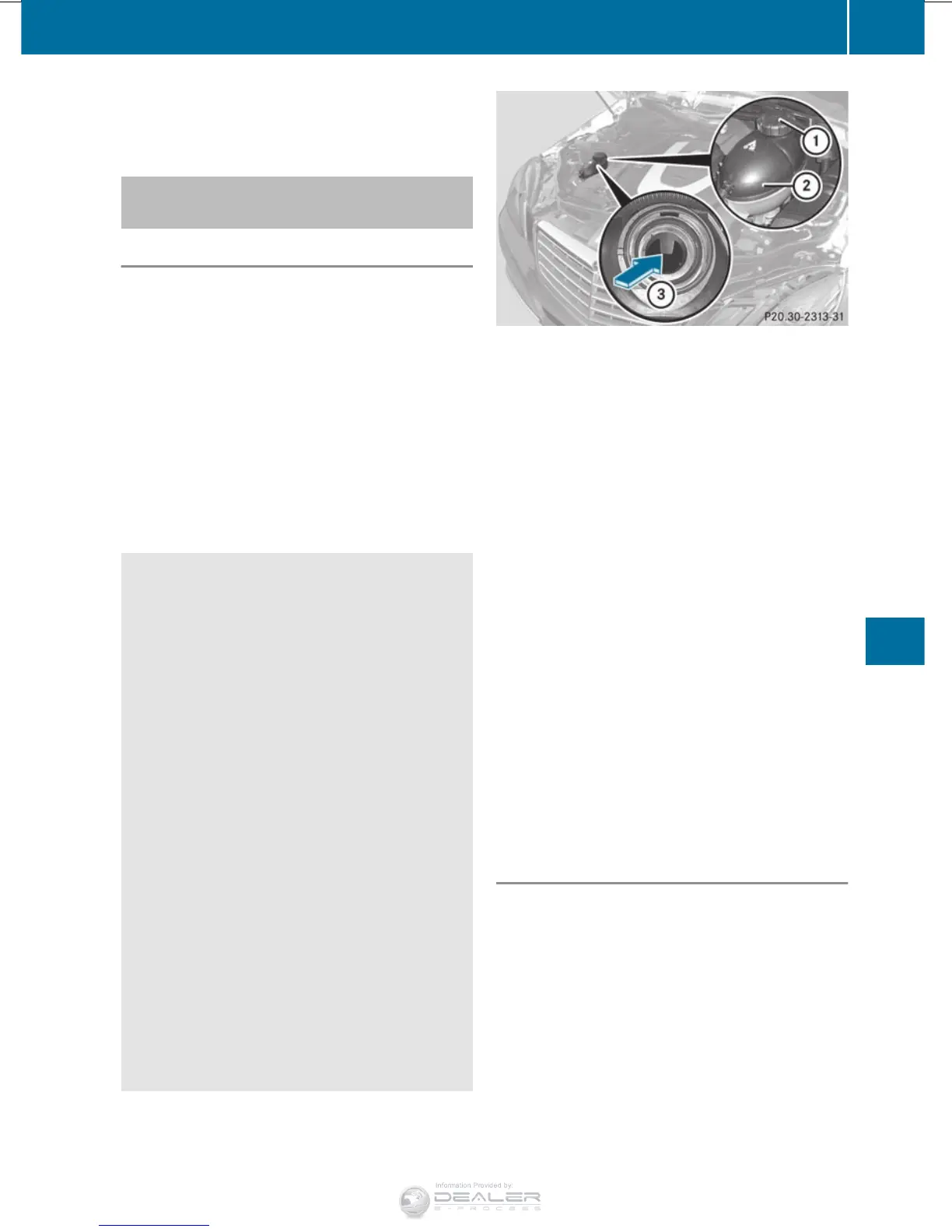 Page #313 background image