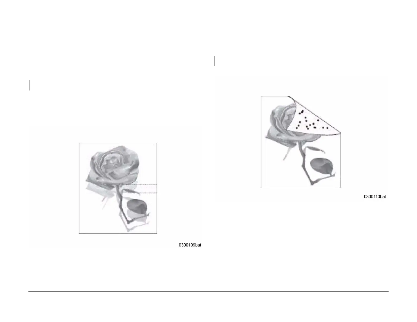 Page #49 background image