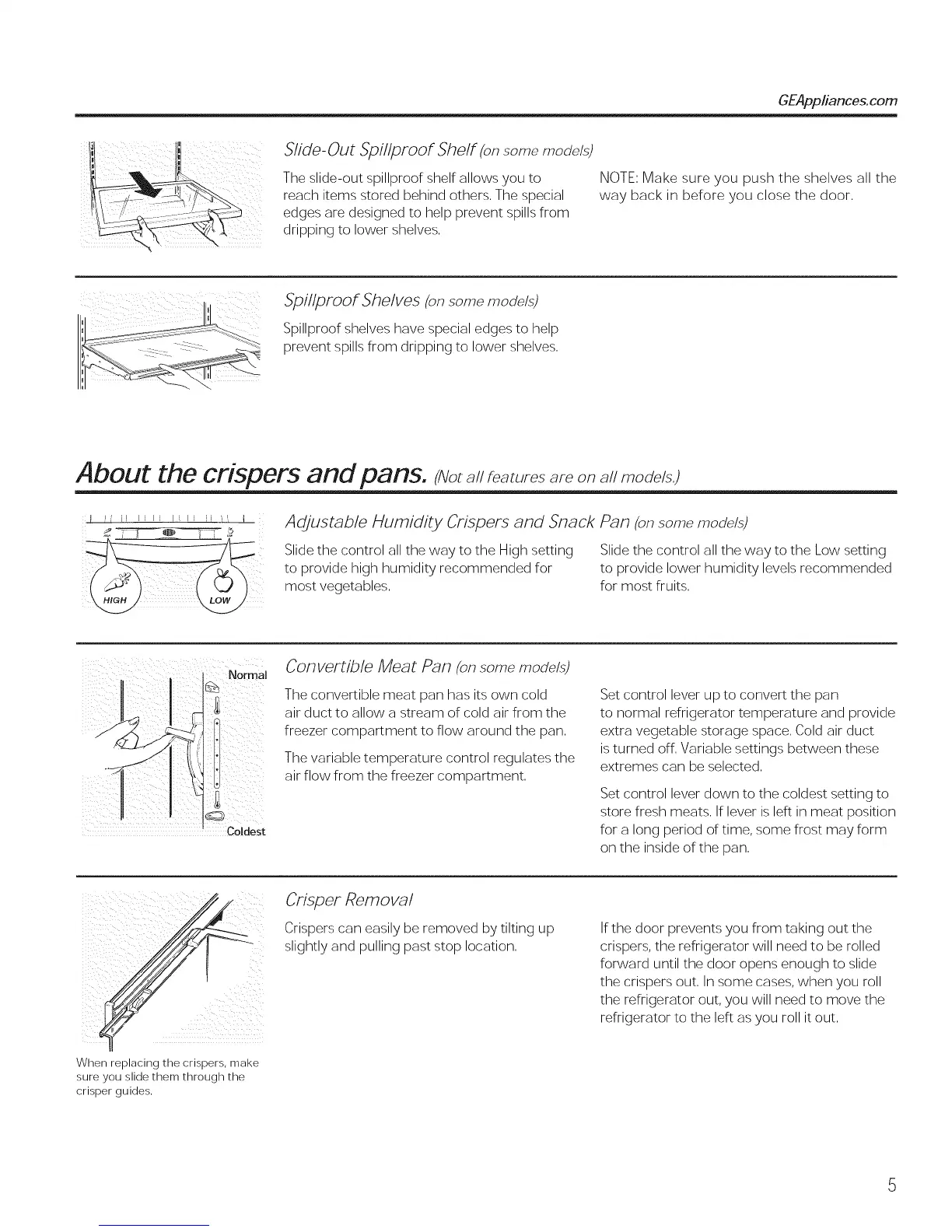 Page #5 background image