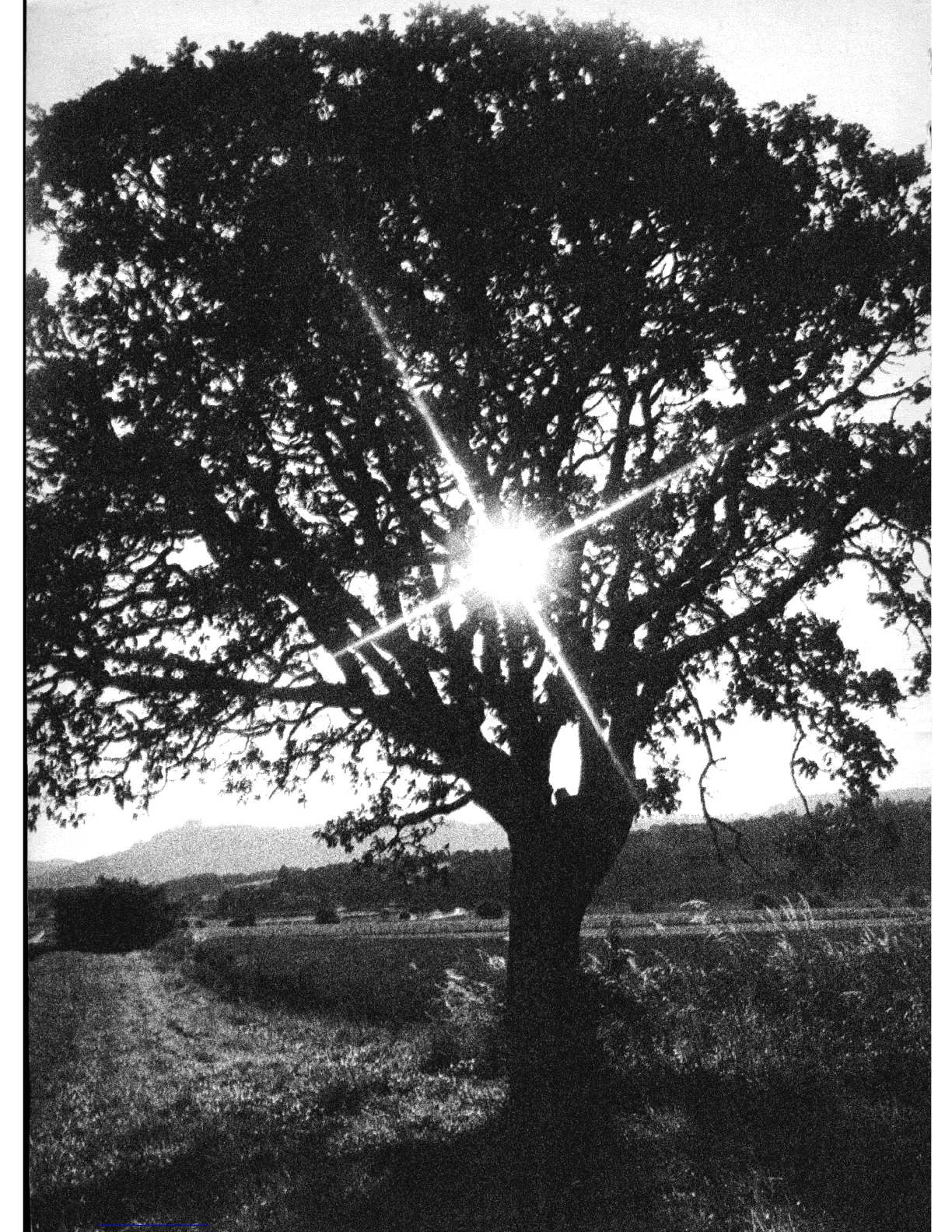 Page #164 background image