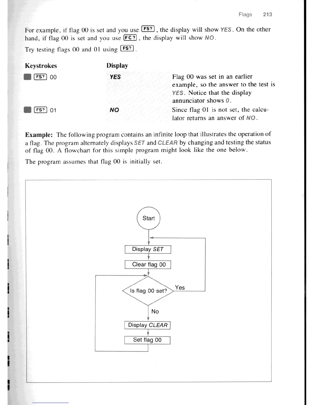 Page #219 background image