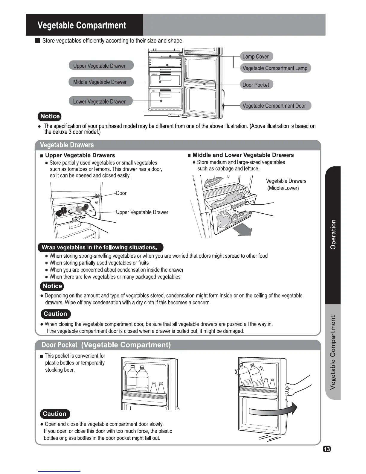 Page #13 background image