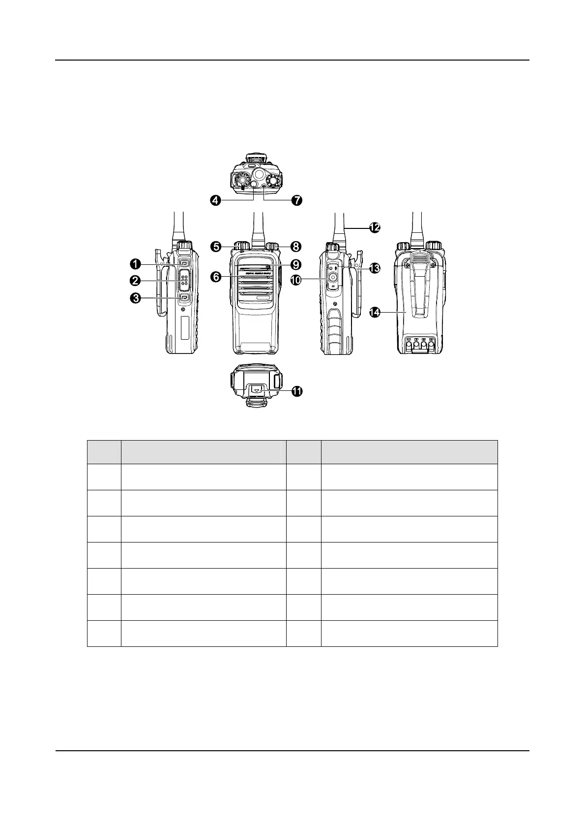 Page #13 background image
