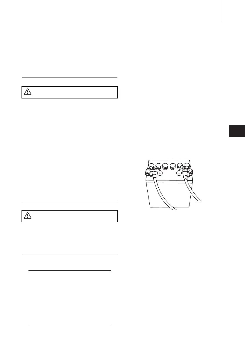 Page #117 background image