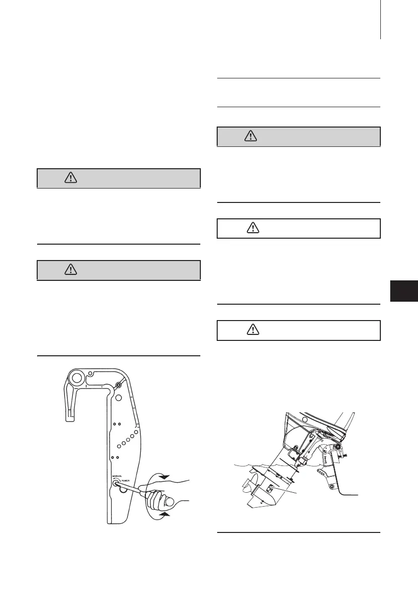 Page #231 background image