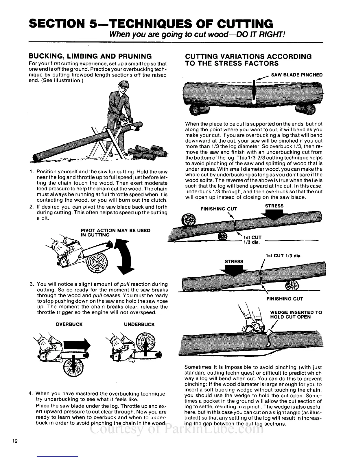 Page #12 background image