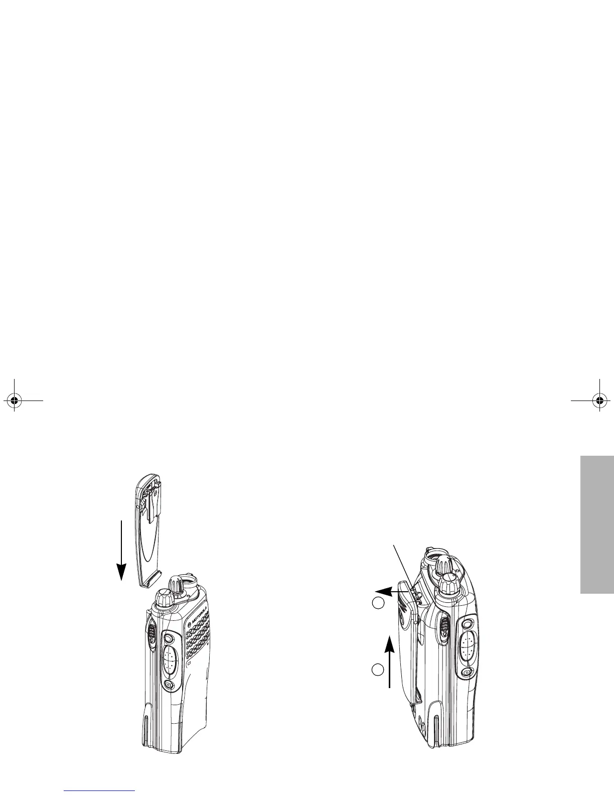 Page #13 background image