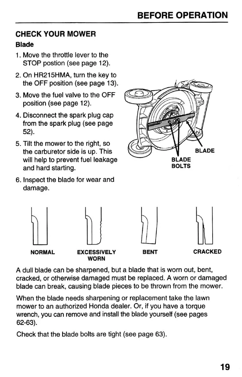 Page #21 background image