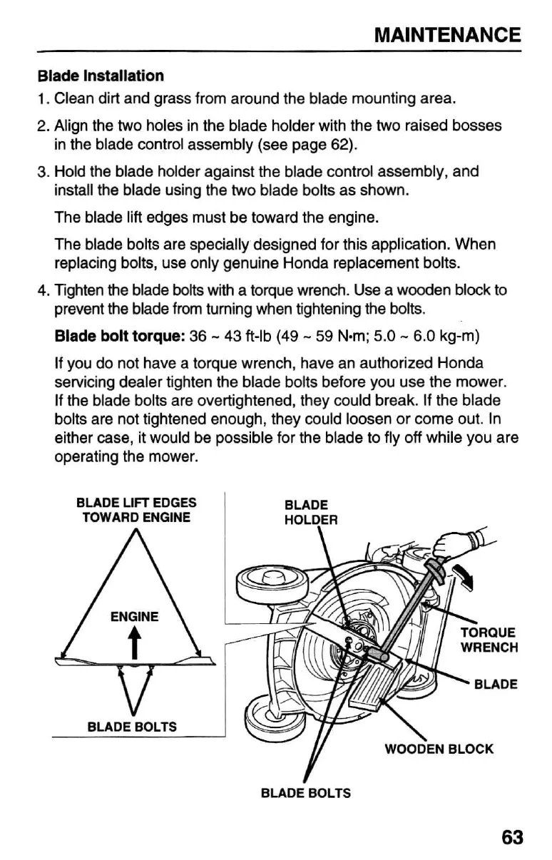 Page #65 background image