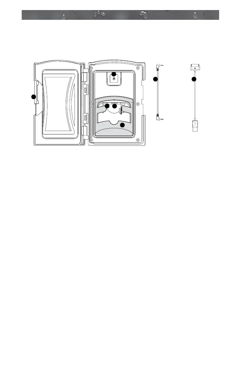 Page #58 background image