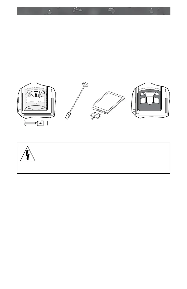 Page #61 background image