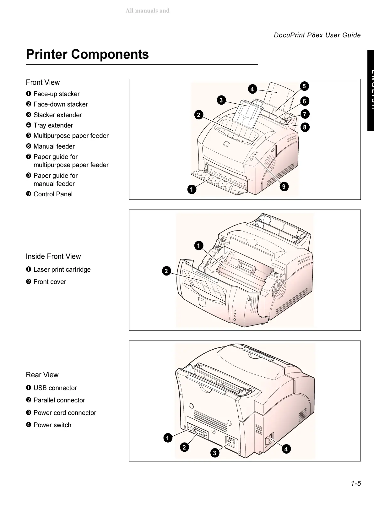 Page #5 background image