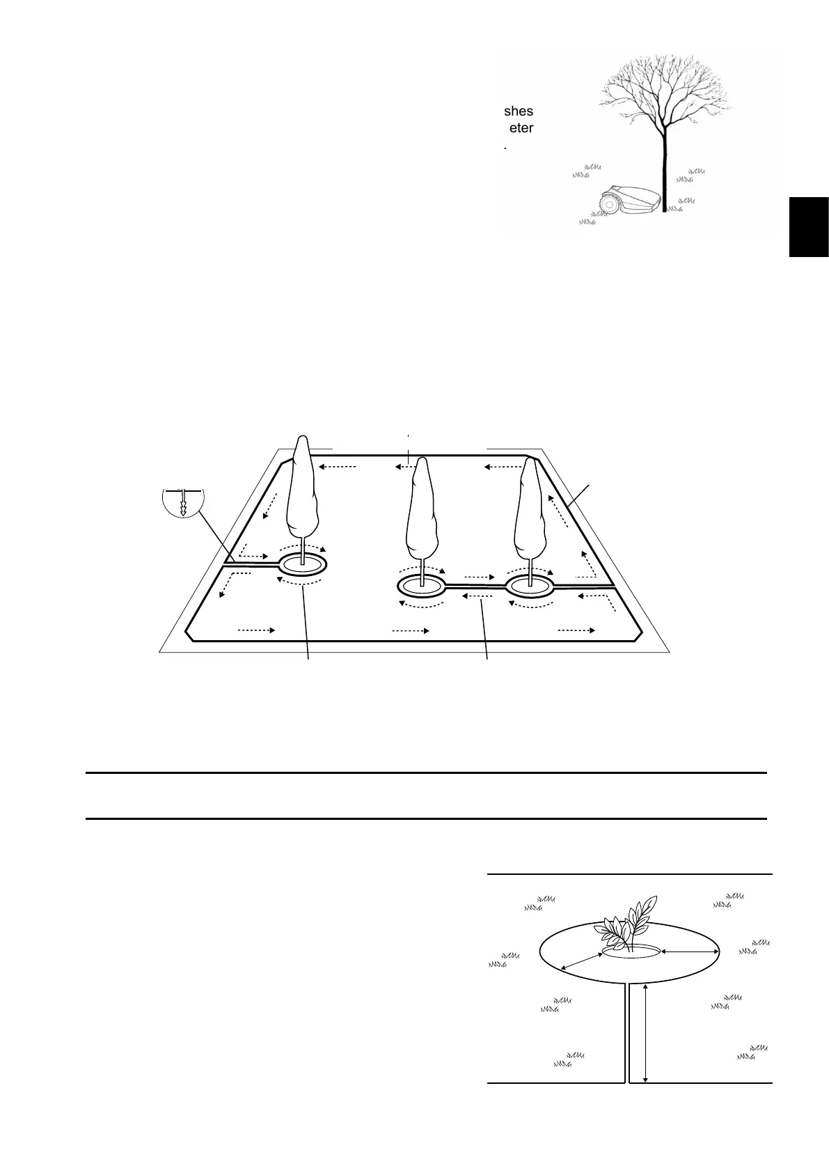 Page #19 background image