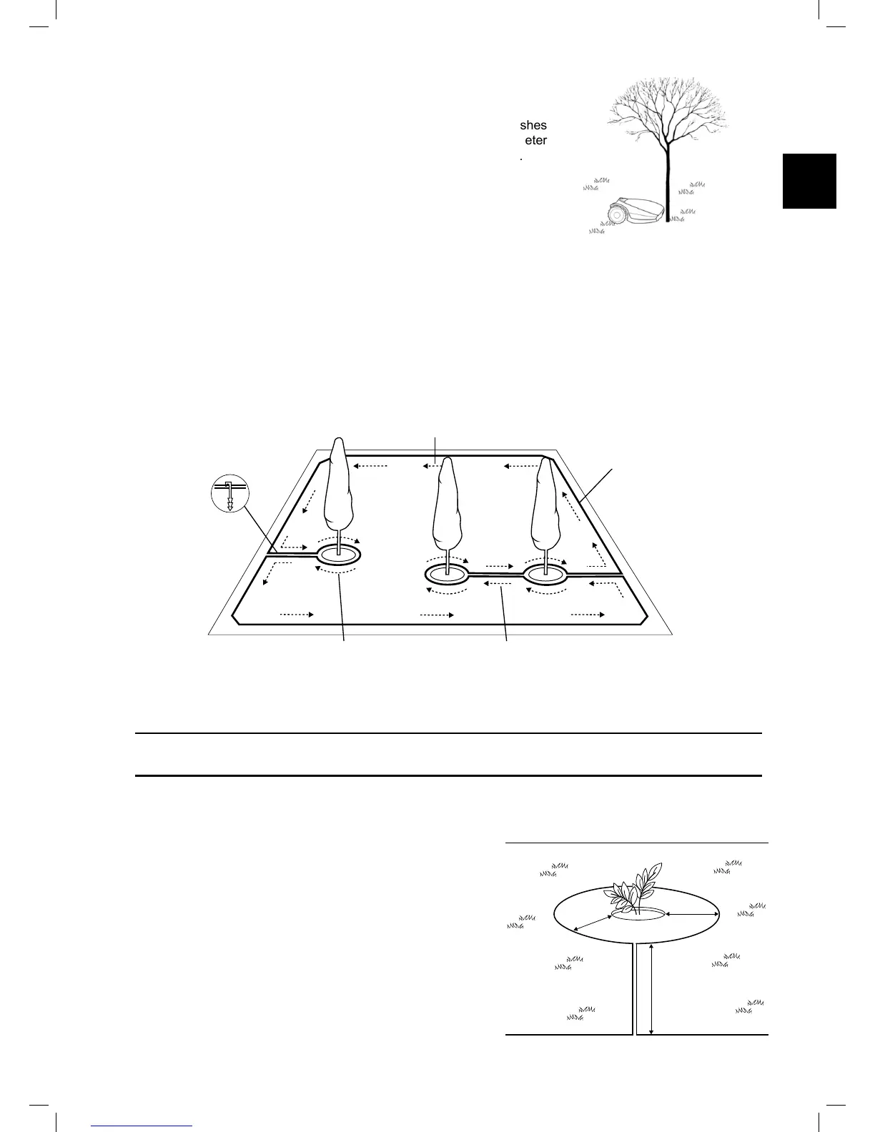 Page #19 background image