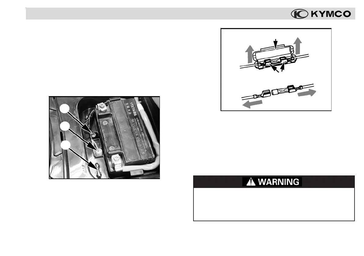 Page #55 background image