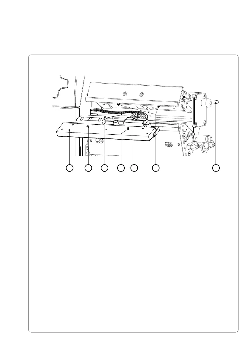Page #135 background image