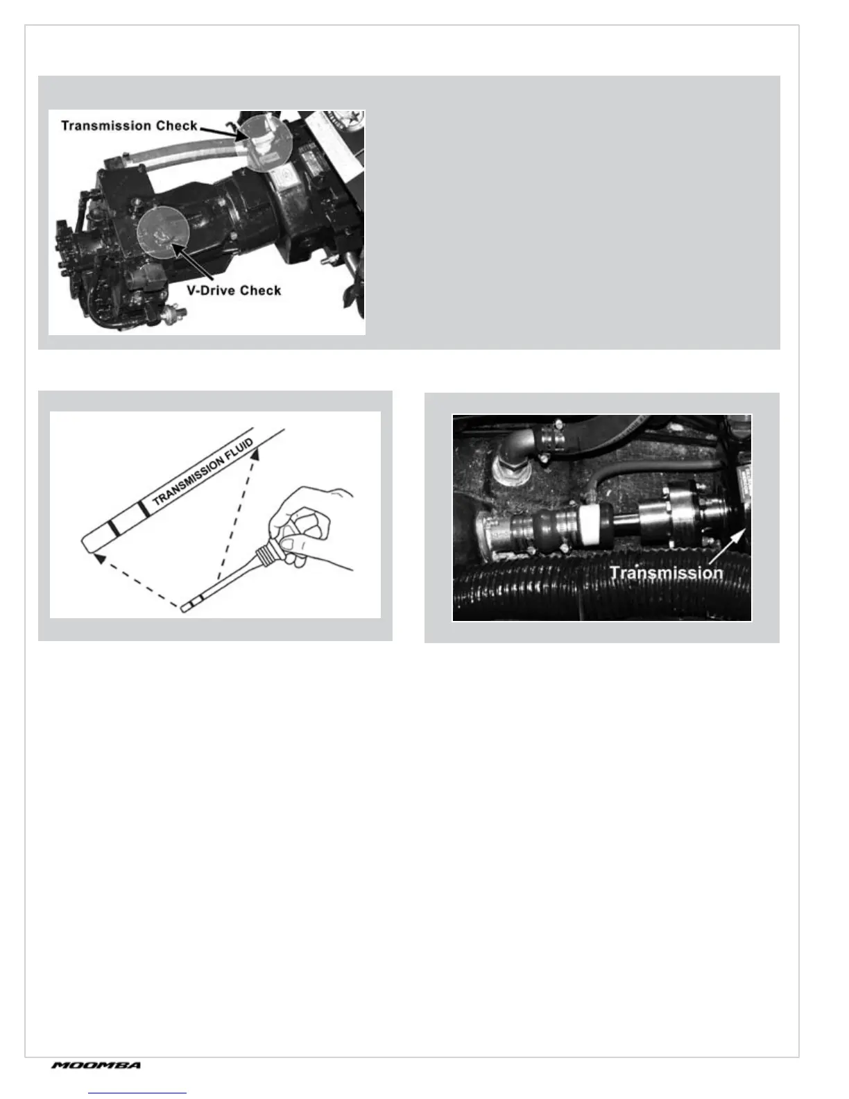 Page #66 background image