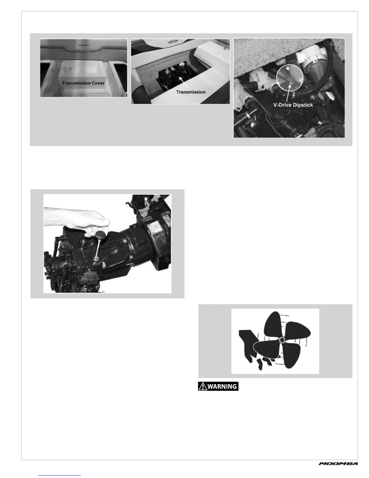 Page #67 background image
