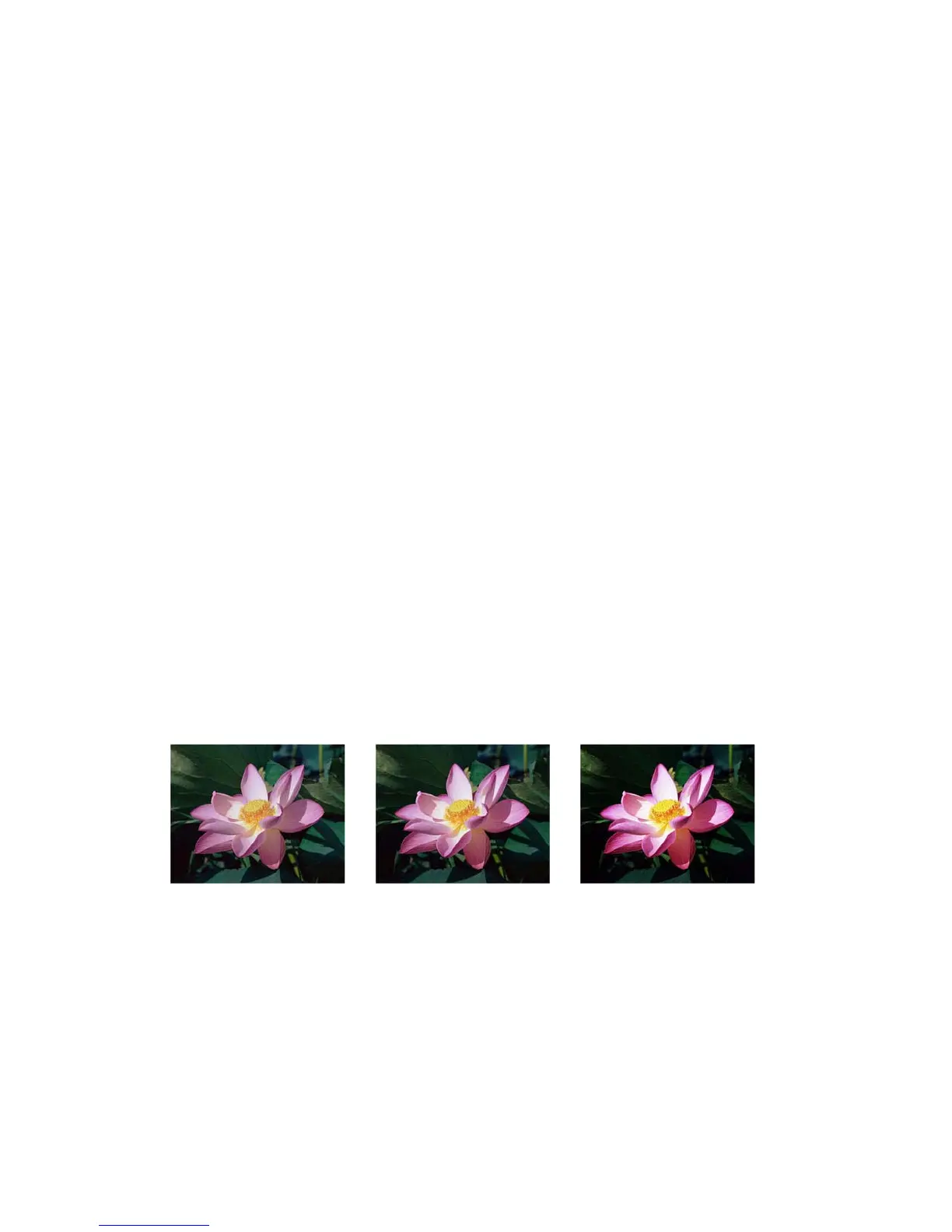 Page #175 background image