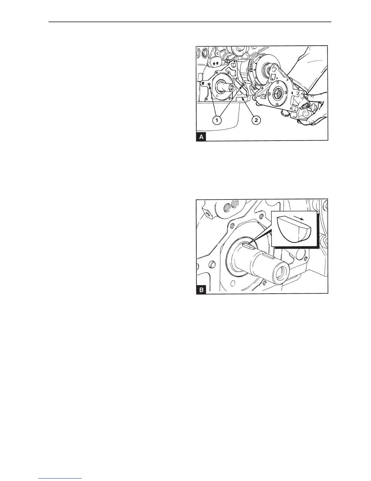 Page #81 background image
