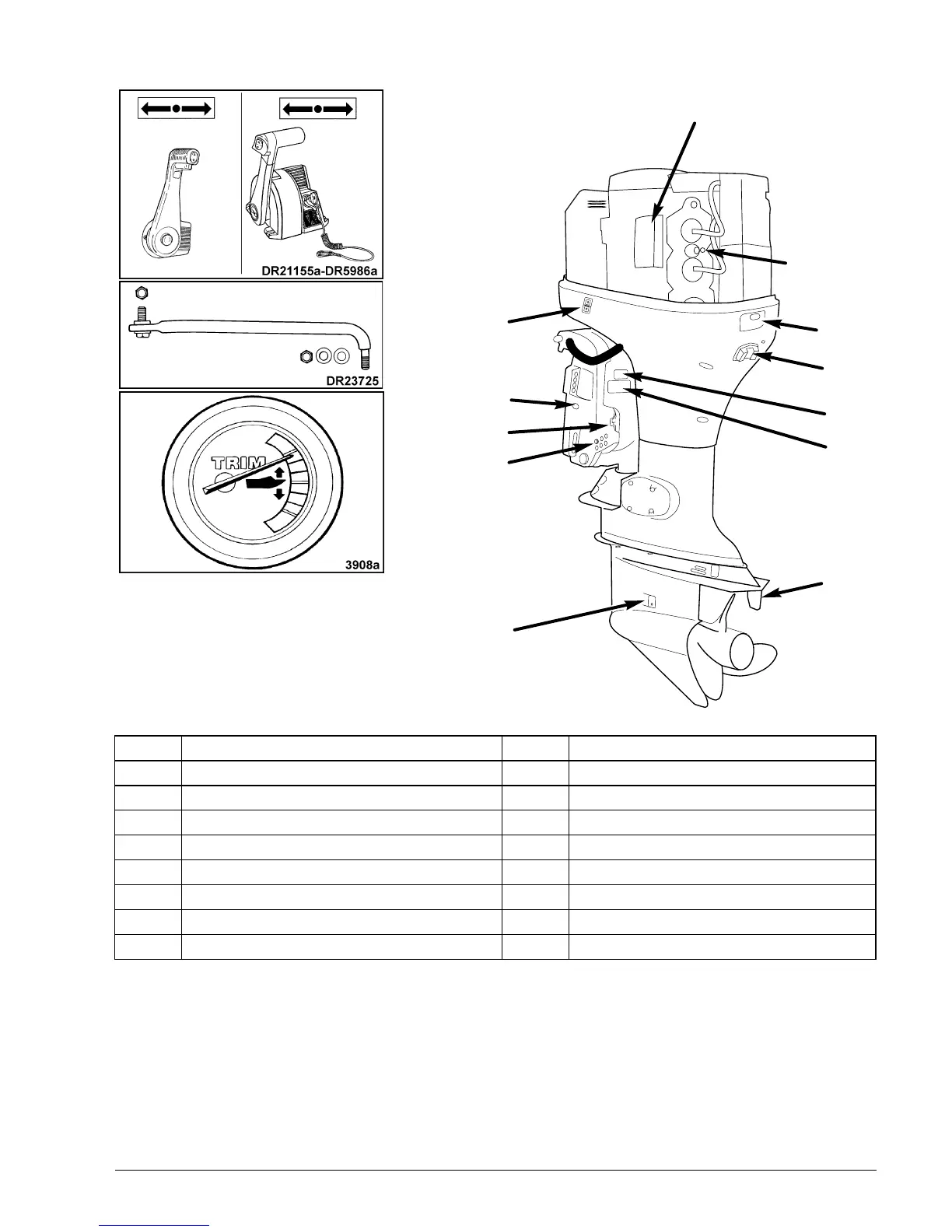 Page #13 background image