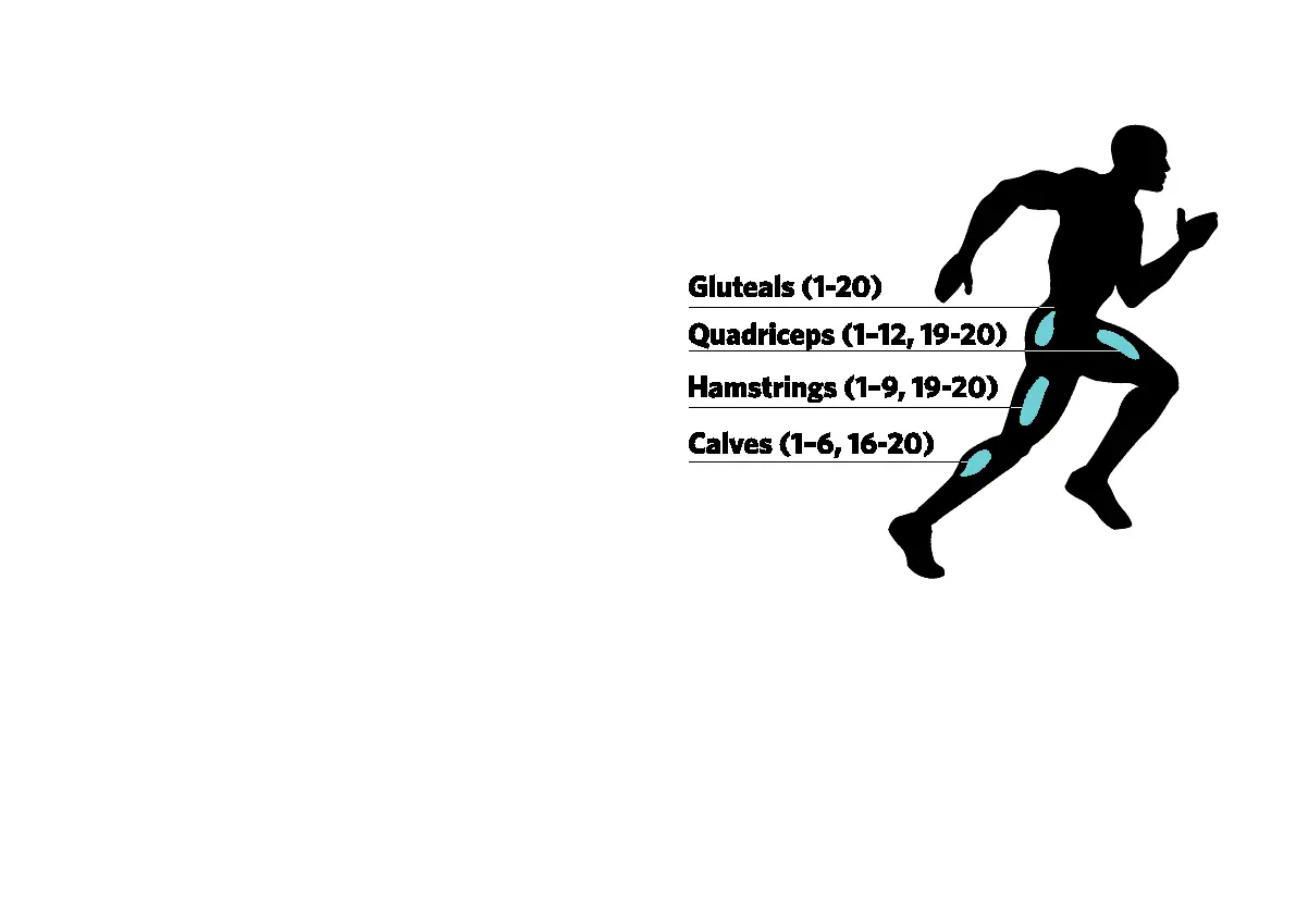 Page #19 background image