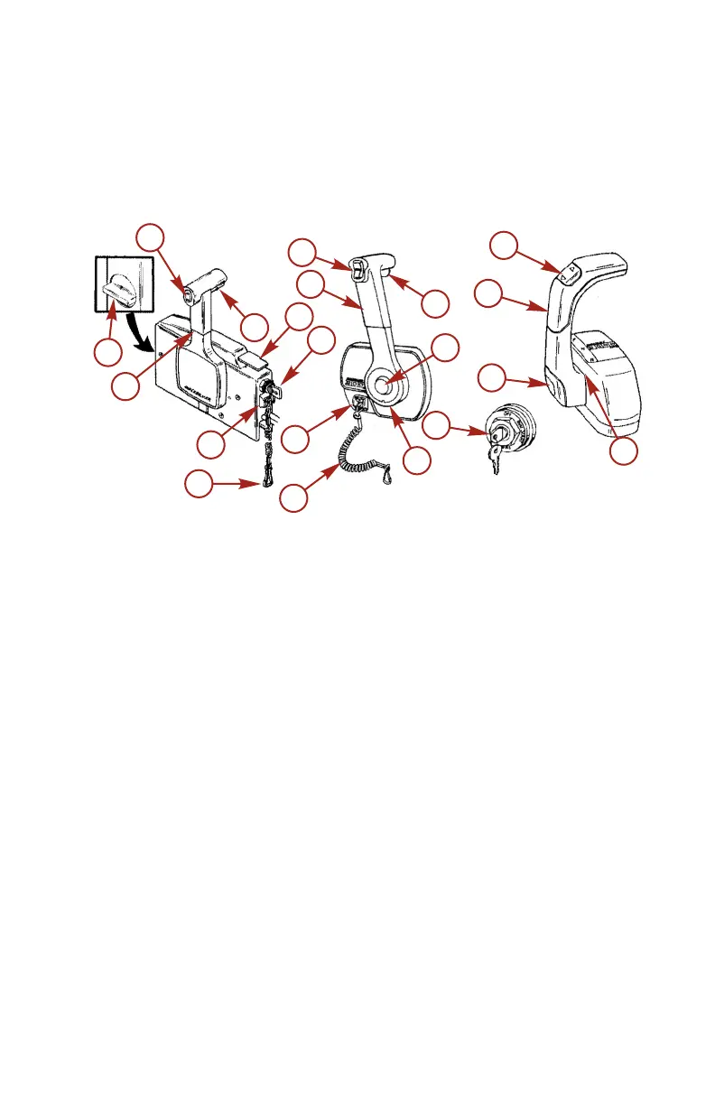 Page #61 background image