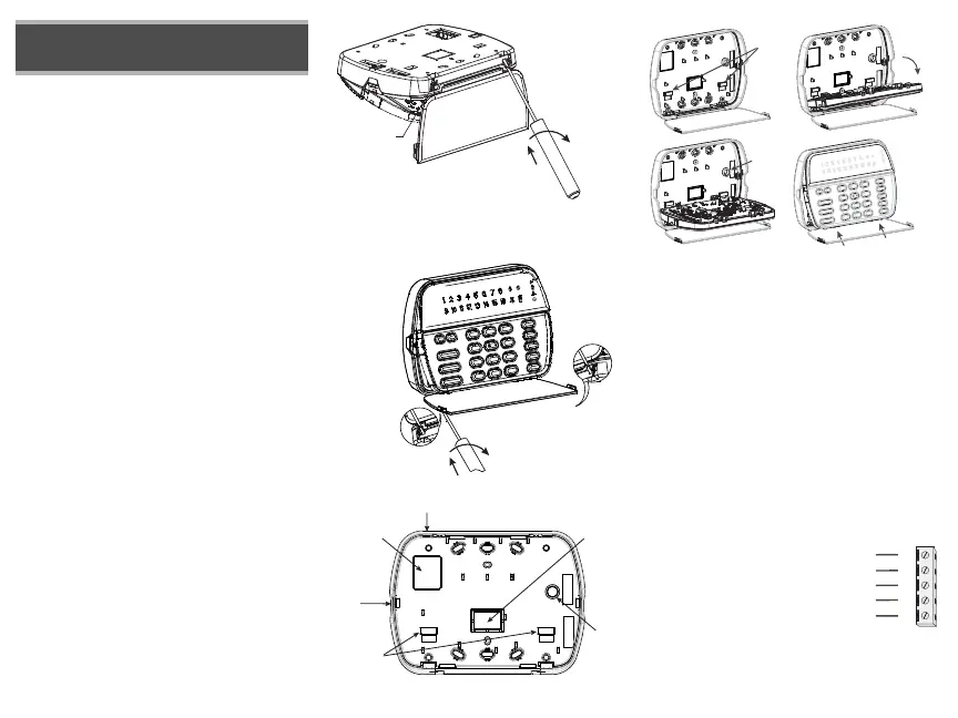 Page #2 background image