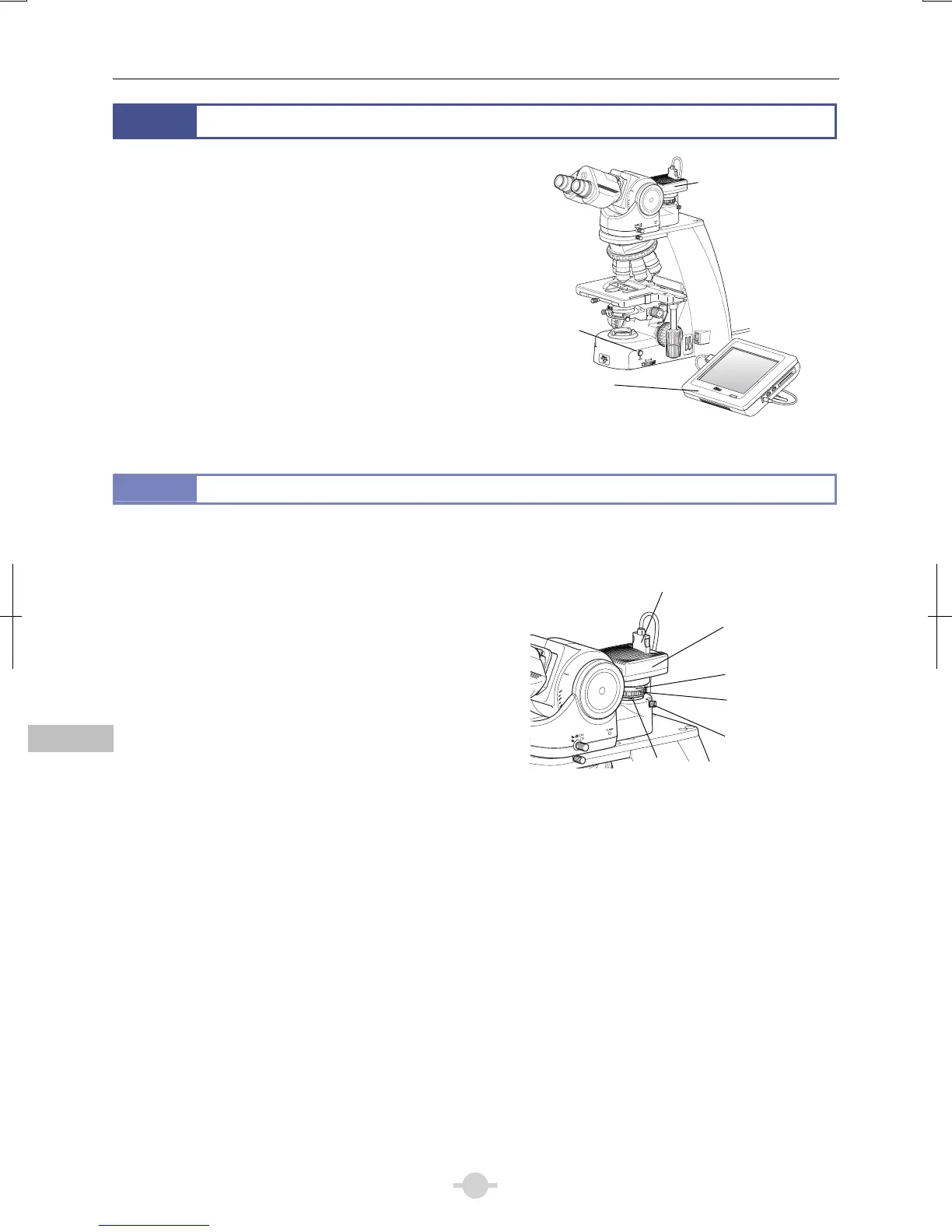Page #66 background image
