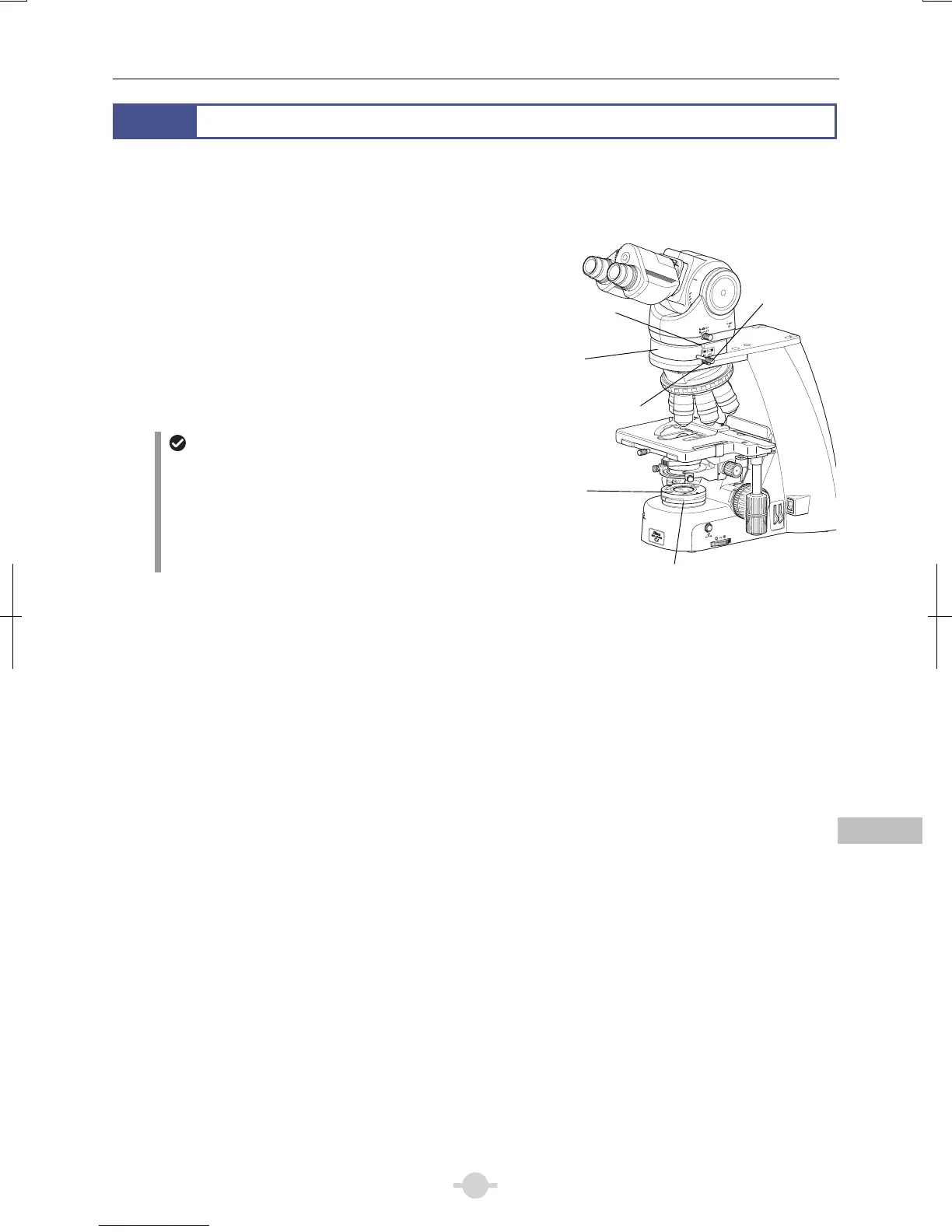 Page #75 background image