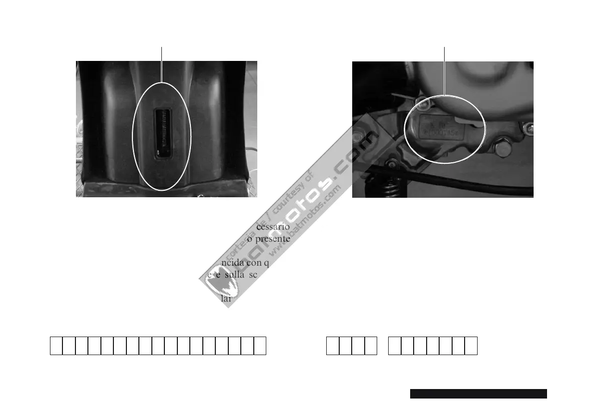 Page #193 background image