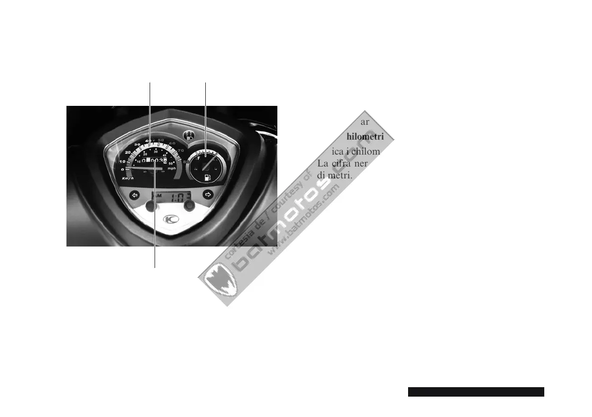 Page #197 background image