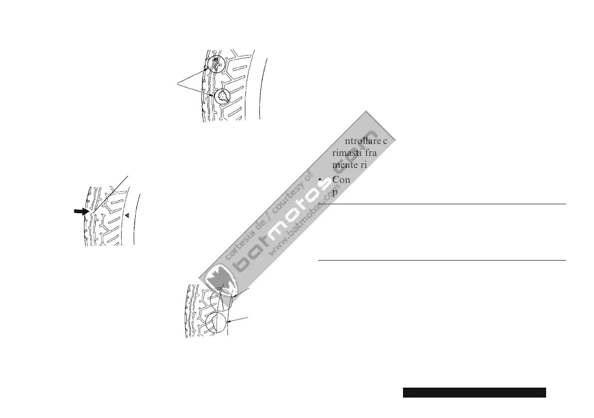 Page #235 background image