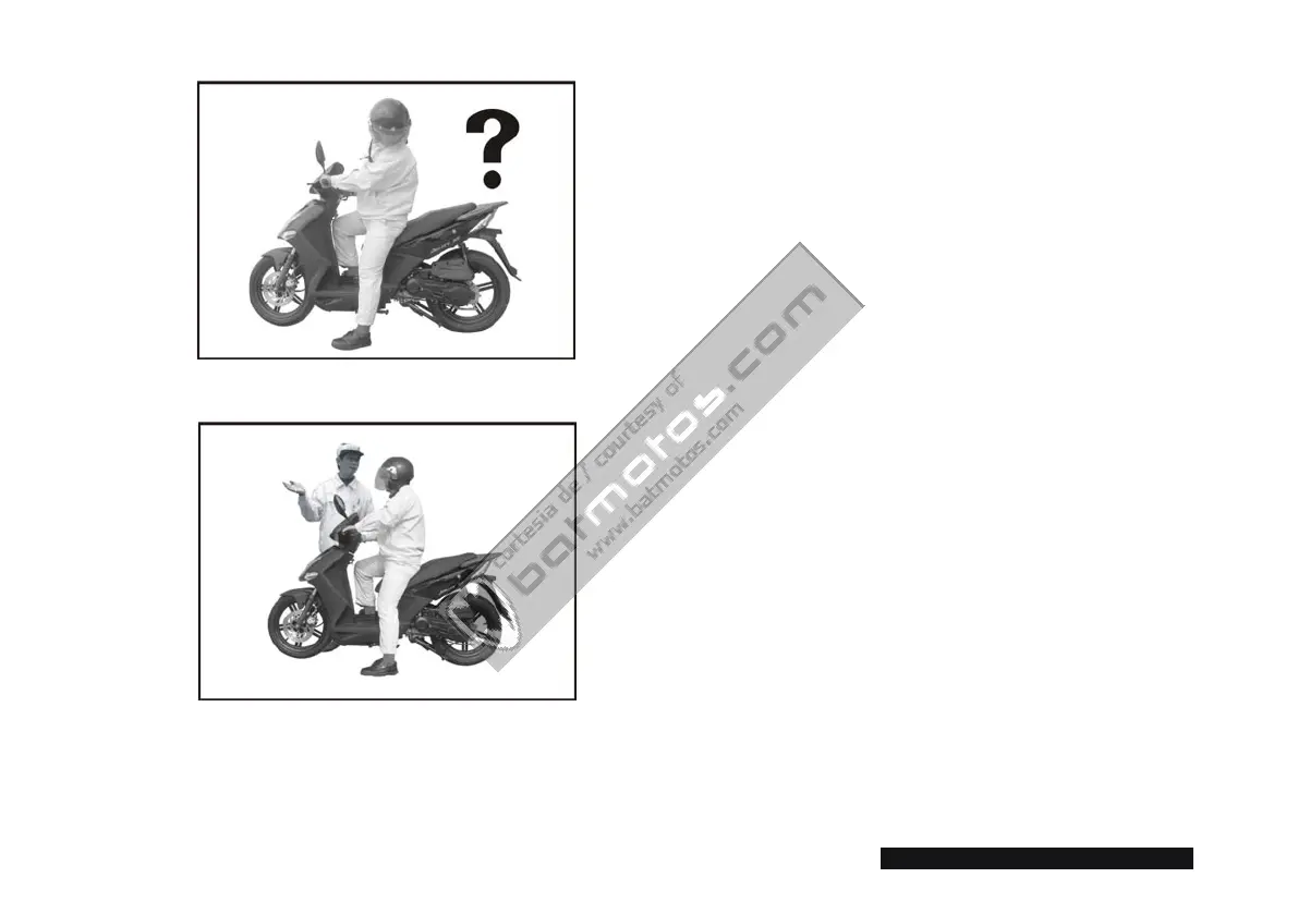 Page #245 background image