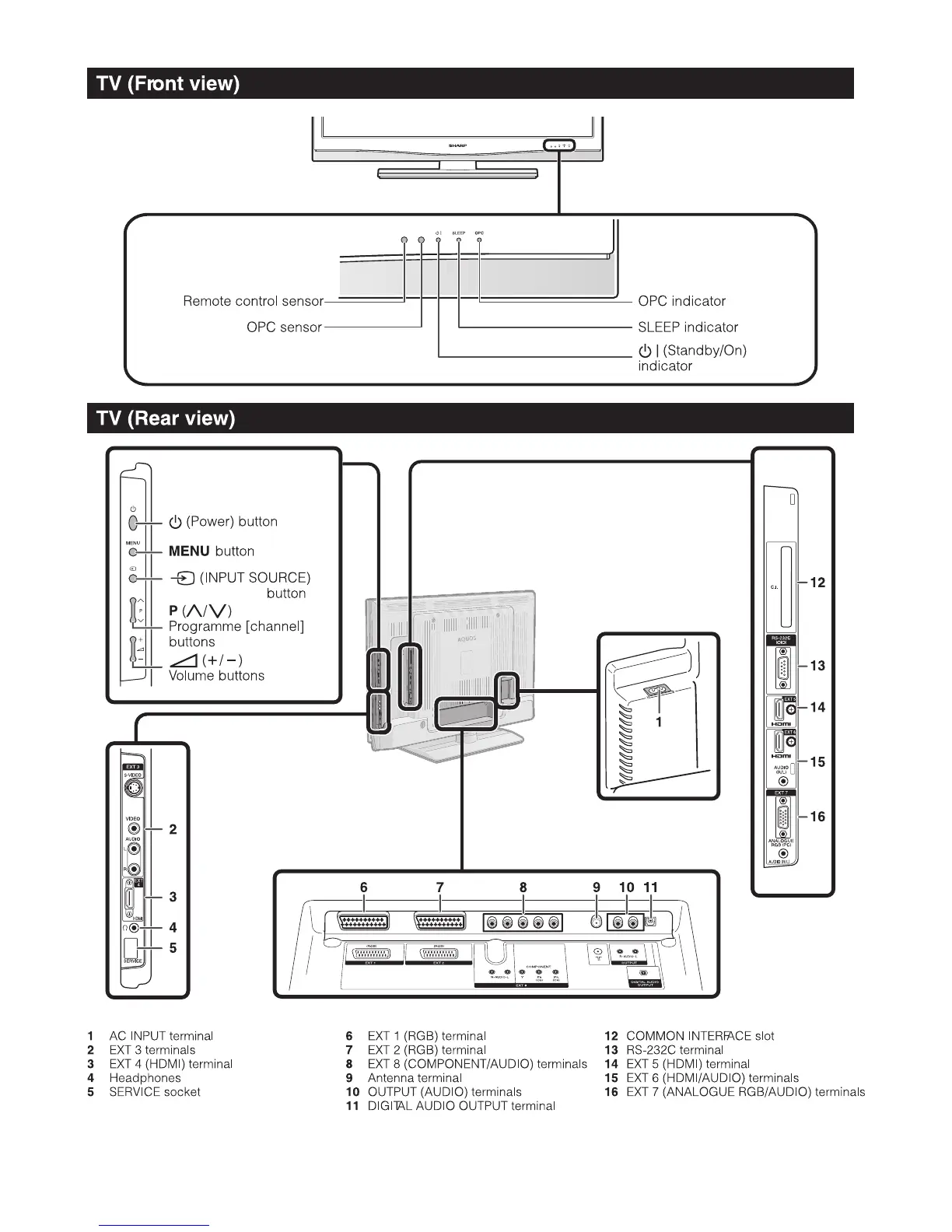 Page #12 background image