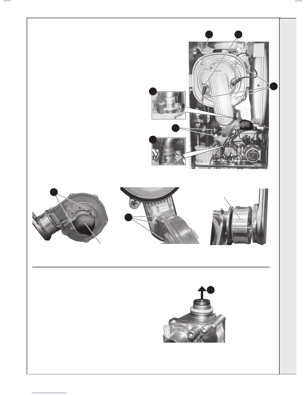 Page #45 background image