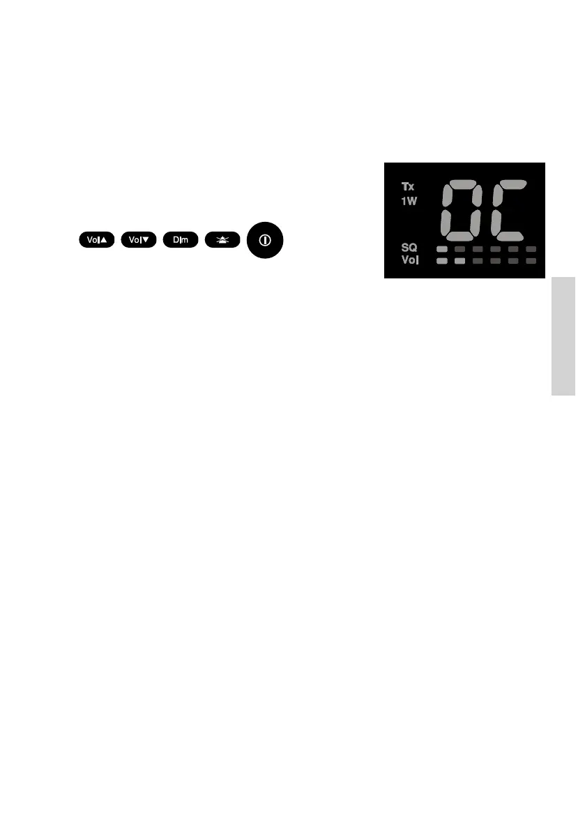 Page #41 background image