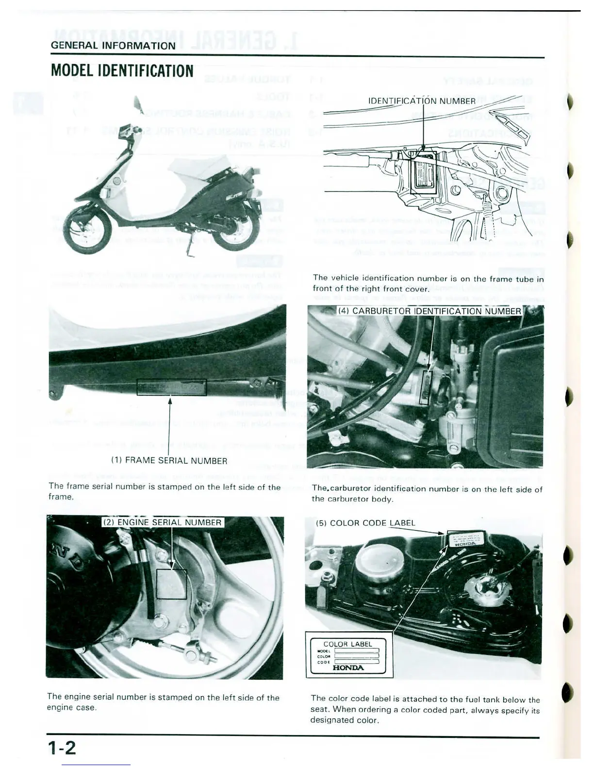 Page #5 background image