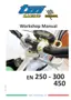 Preview: Workshop Manual