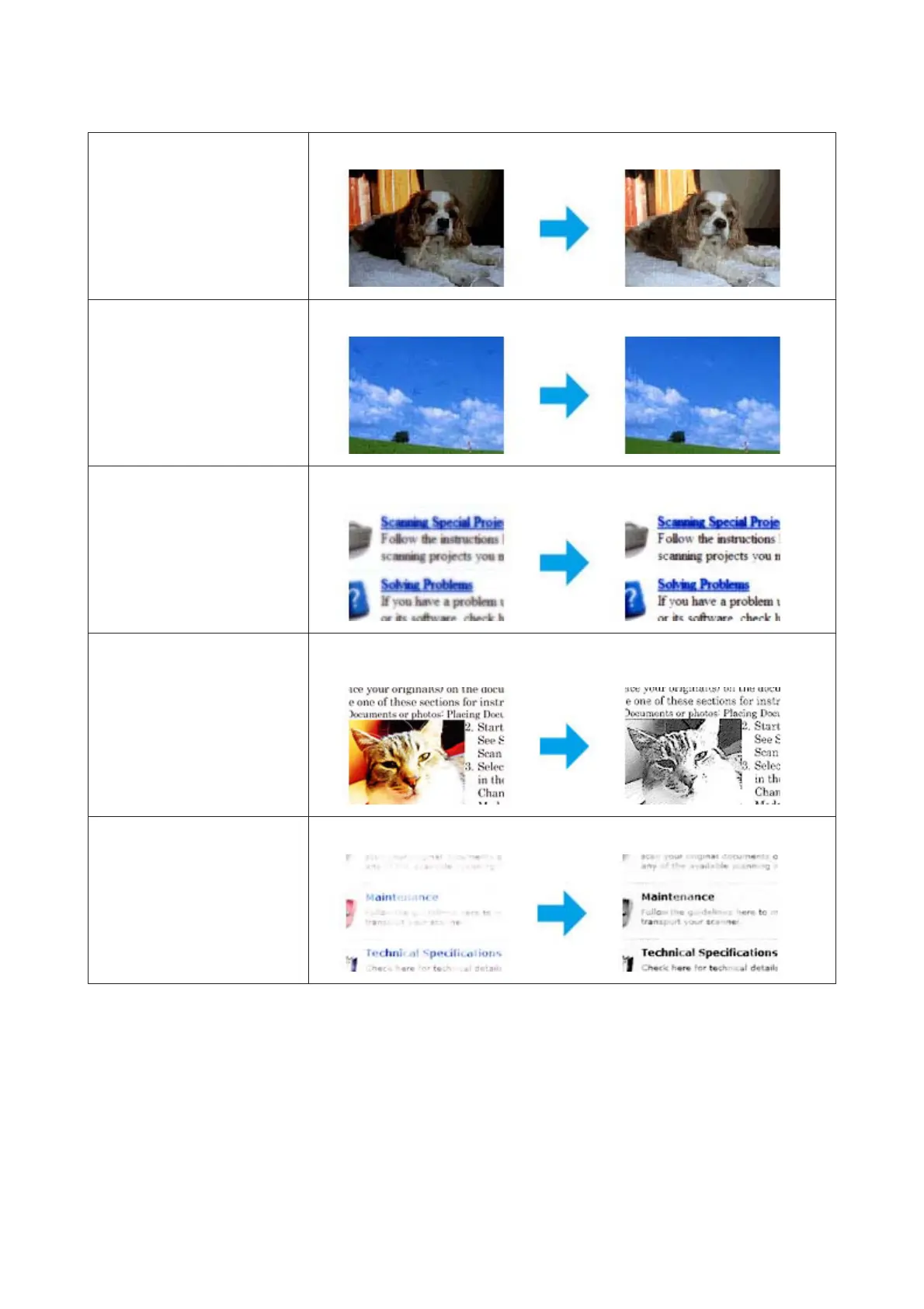 Page #52 background image