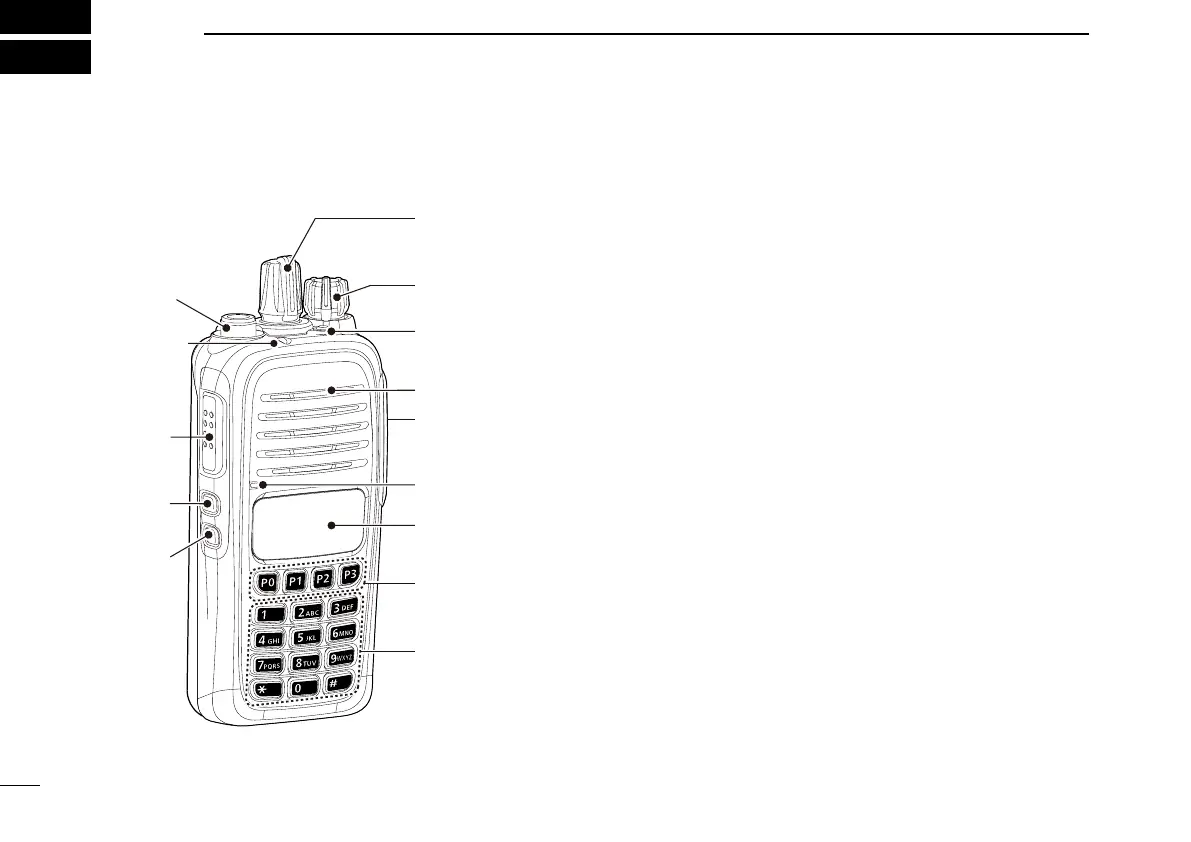 Page #4 background image