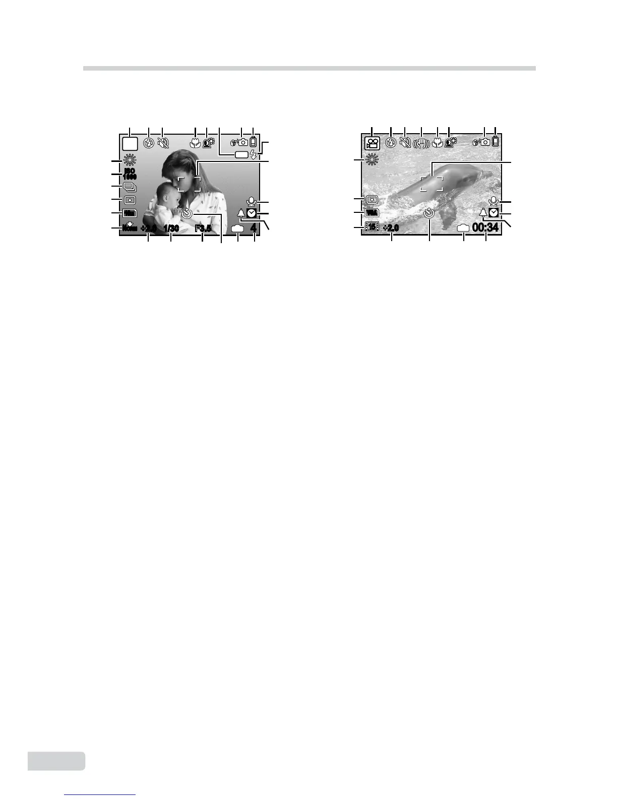 Page #8 background image