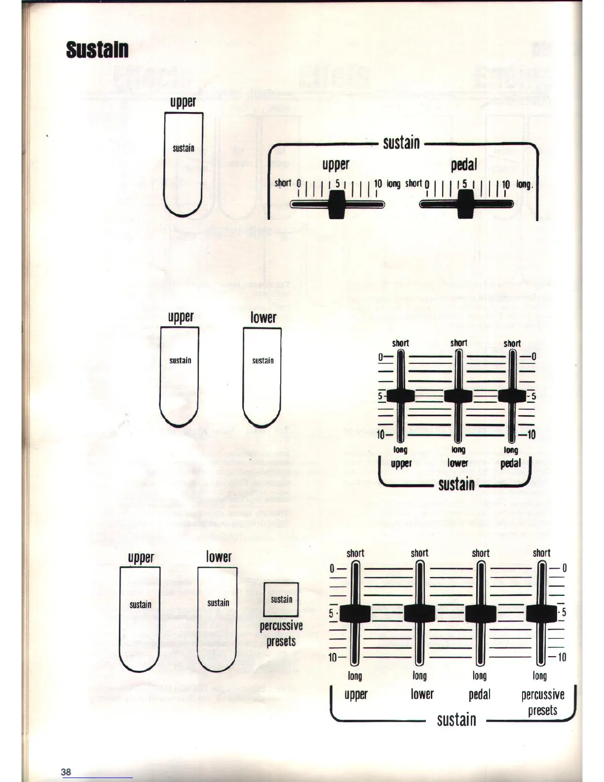 Page #38 background image